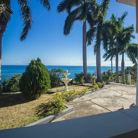 Tall Palms-Ocean View